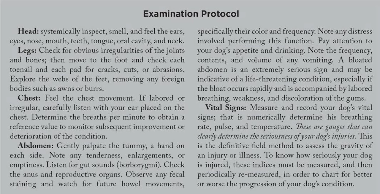 Adventure Medical Kits Canine Field Medicine Book 4000-1520 4 Adventure Medical Kits Canine Field Medicine Book 4000-1520 - Image 2