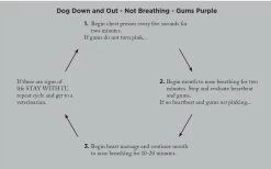 Adventure Medical Kits Canine Field Medicine Book 4000-1520 9 Adventure Medical Kits Canine Field Medicine Book 4000-1520 -Outdoor Tactical Gear adventure medical kits canine field medicine book 4000 1520 4000 1520 59942.1635811172