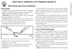 Adventure Medical Kits Canine Field Medicine Book 4000-1520 11 Adventure Medical Kits Canine Field Medicine Book 4000-1520 -Outdoor Tactical Gear adventure medical kits canine field medicine book 4000 1520 4000 1520 72182.1635811176