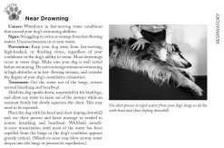 Adventure Medical Kits Canine Field Medicine Book 4000-1520 10 Adventure Medical Kits Canine Field Medicine Book 4000-1520 -Outdoor Tactical Gear adventure medical kits canine field medicine book 4000 1520 4000 1520 89508.1635811135