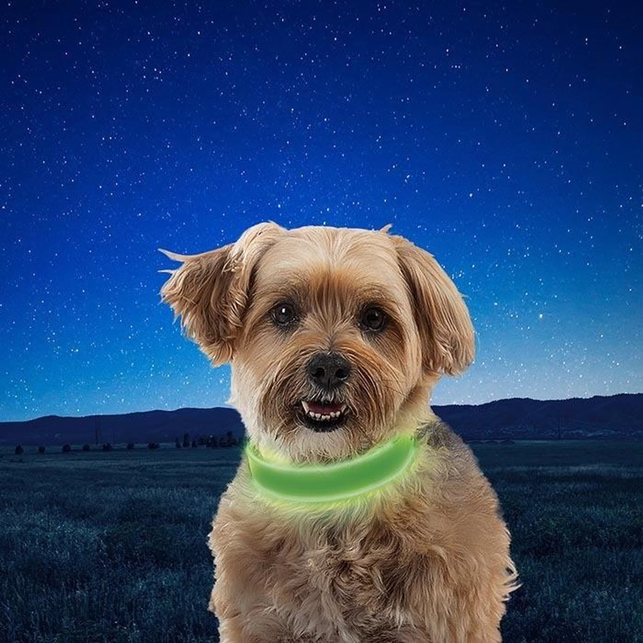 Nite Ize NiteDog Rechargeable LED Collar 4 Nite Ize NiteDog Rechargeable LED Collar - Image 2