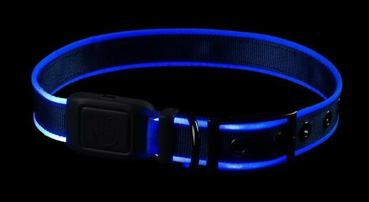 Nite Ize NiteDog Rechargeable LED Collar 6 Nite Ize NiteDog Rechargeable LED Collar - Image 4