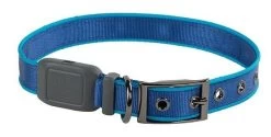 Nite Ize NiteDog Rechargeable LED Collar 13 Nite Ize NiteDog Rechargeable LED Collar -Outdoor Tactical Gear nite ize nitedog rechargeable led collar ndcr 46592.1616660134