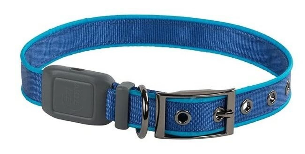 Nite Ize NiteDog Rechargeable LED Collar 5 Nite Ize NiteDog Rechargeable LED Collar - Image 3