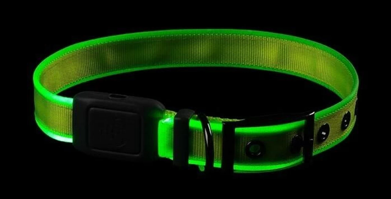 Nite Ize NiteDog Rechargeable LED Collar 8 Nite Ize NiteDog Rechargeable LED Collar - Image 6