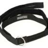 RIPP Restraints 2" D Ring Transport Belt