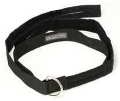 RIPP Restraints 2" D Ring Transport Belt